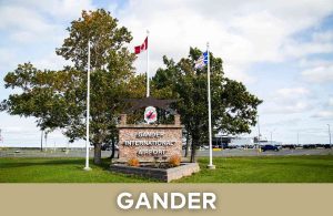 gander-newfoundland